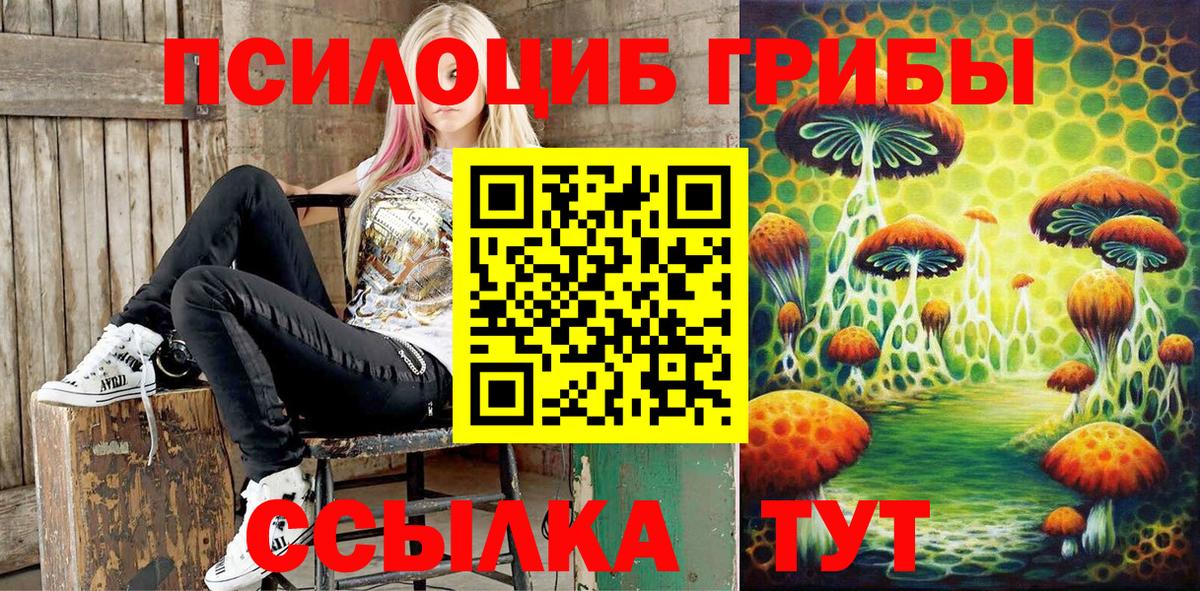 Галлюциногенные грибы GOLDEN TEACHER  Вход с VPN  Тихорецк 